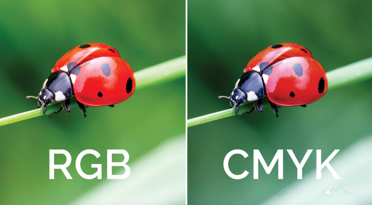 Common Misunderstandings in Color Management: The Color You See Is Not ...