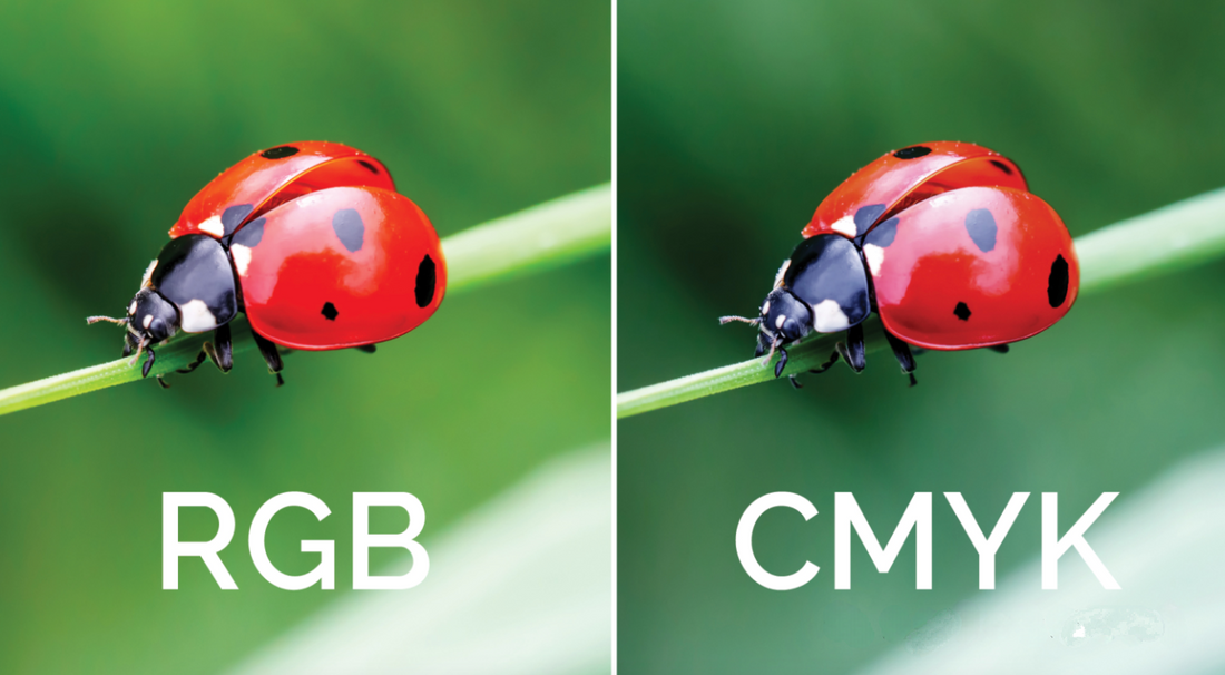Common Misunderstandings in Color Management: The Color You See Is Not the Real Color