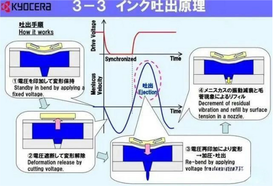 The “Aristocrat” of Printheads — Disassembly and Working-Principle Analysis of Kyocera Printheads