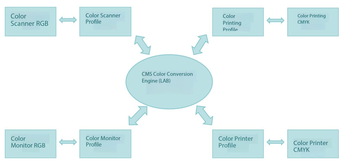 Basics of Color Management System | Components of a Color Management System