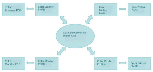 Basics of Color Management System | Components of a Color Management System