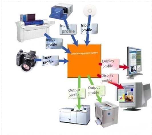 RIP Image Processing Algorithms: Principles, Applications, and Development Trends